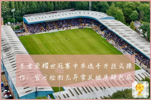 王者荣耀世冠赛中单选手开挂式操作，官方检测无异常反被质疑包庇