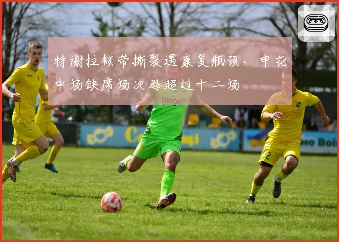 特谢拉韧带撕裂遇康复瓶颈，申花中场缺席场次恐超过十二场