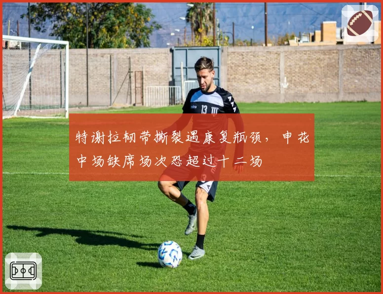 特谢拉韧带撕裂遇康复瓶颈，申花中场缺席场次恐超过十二场
